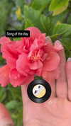 zz.eazoning Altpins Profile Picture