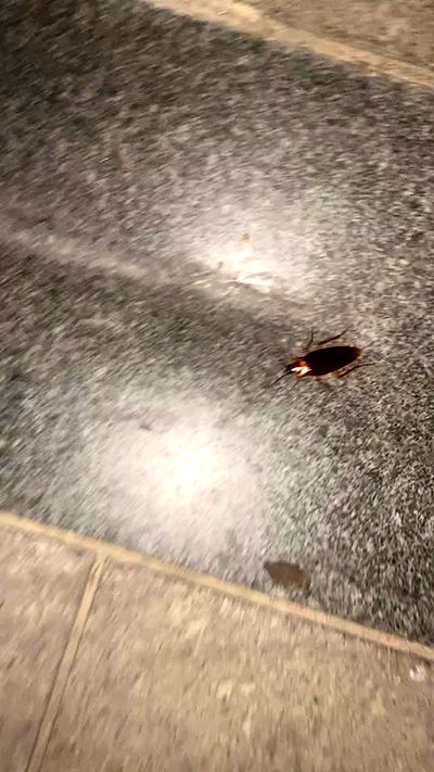 m1ry2m_ m1ry2m_ archive video