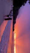 noa_mendel_ Altpins Profile Picture