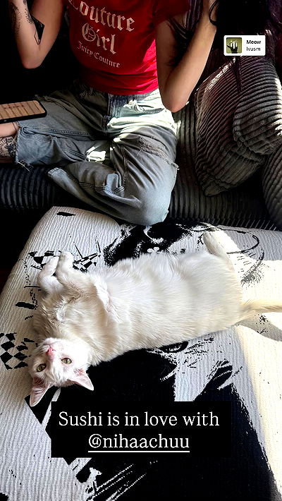 nikkibitez nikkibitez archive video