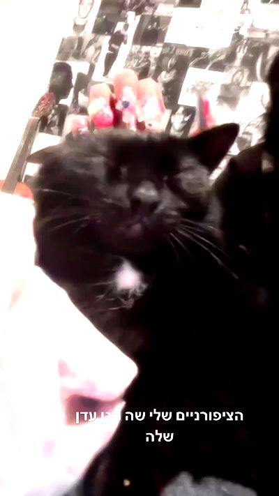 hellokittyangel666 hellokittyangel666 archive video