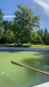 shirin_danin Altpins Profile Picture