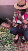 mamyouu_star Altpins Profile Picture