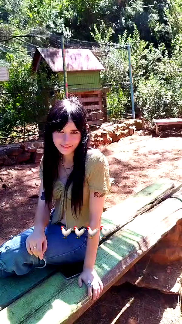 feelbetterinmysweater archive video preview