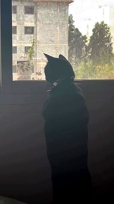 feelbetterinmysweater feelbetterinmysweater archive video