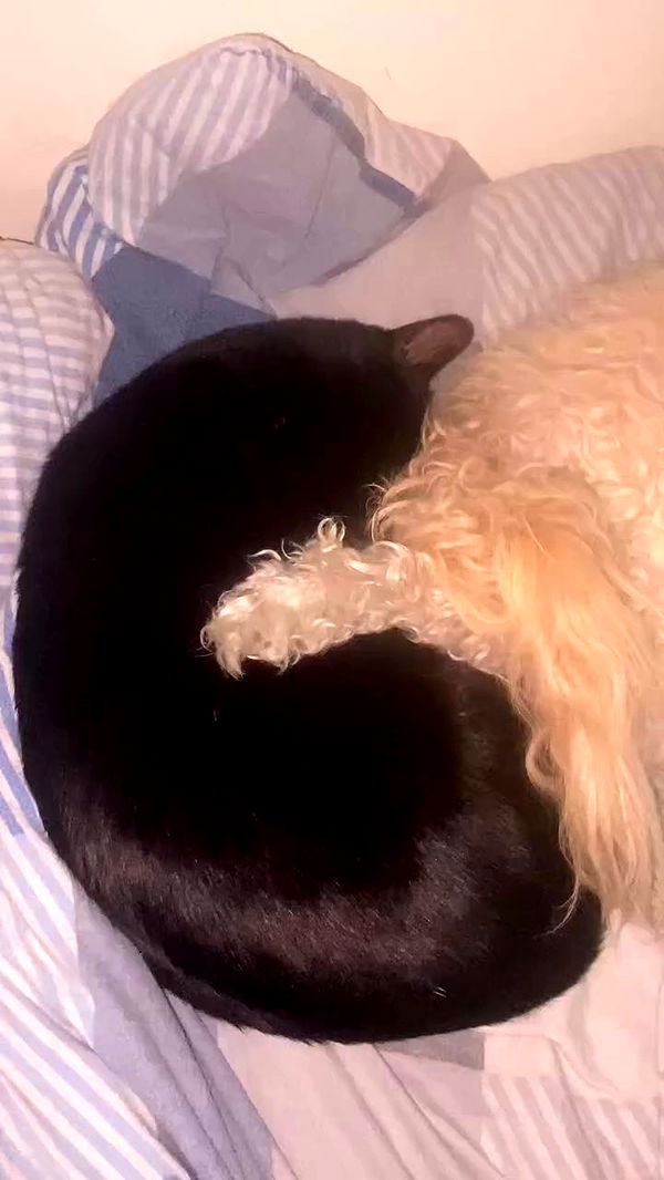 feelbetterinmysweater archive video preview