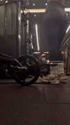 daniel_gal_1 Altpins Profile Picture