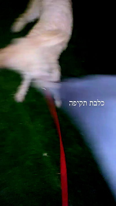 feelbetterinmysweater feelbetterinmysweater archive video