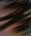 kyliejenner Altpins Profile Picture
