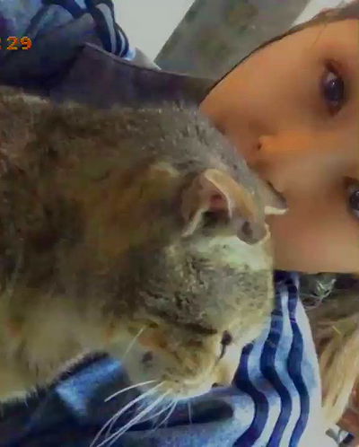 kesemgreenyer kesemgreenyer archive video