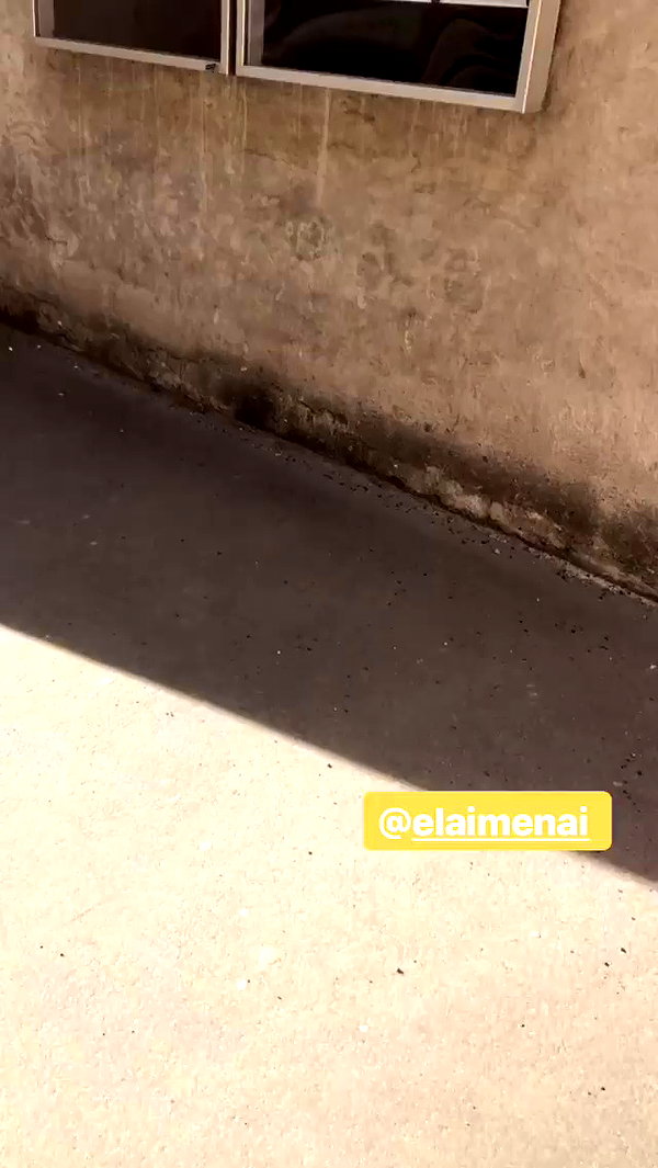 katie_westwood archive video preview