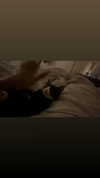 thelovewltch Altpins Profile Picture