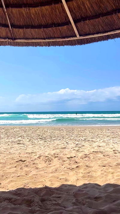 yam_adler yam_adler archive video