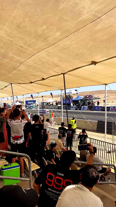 simp_for_cats_ simp_for_cats_ archive video