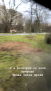 katie_westwood Altpins Profile Picture