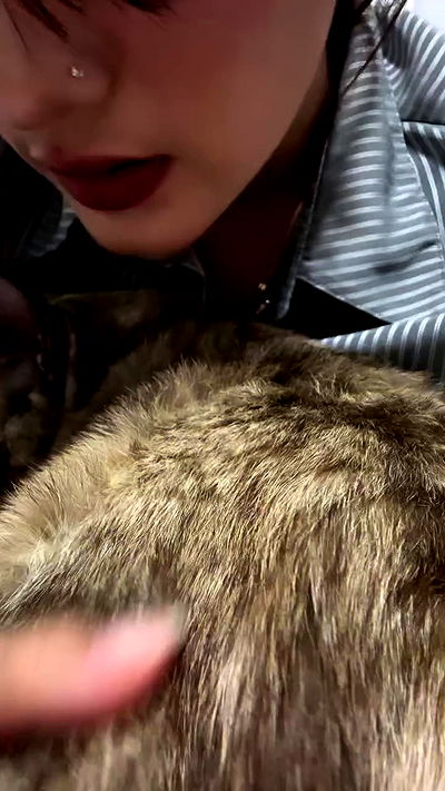 oqr0_ oqr0_ archive video