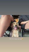 danchiii6403__ Altpins Profile Picture