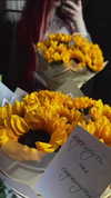 crocatana Altpins Profile Picture