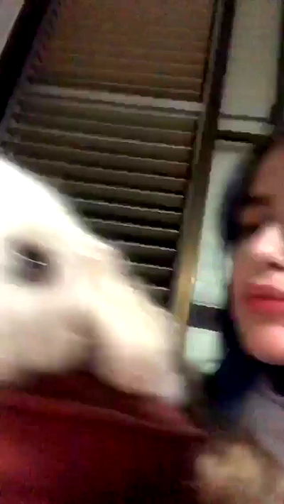 feelbetterinmysweater feelbetterinmysweater archive video