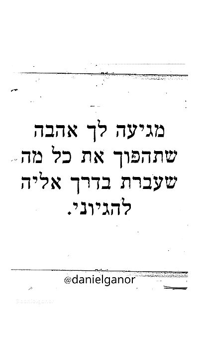 _lil_noa_ _lil_noa_ archive video