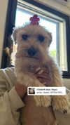 romituly Altpins Profile Picture