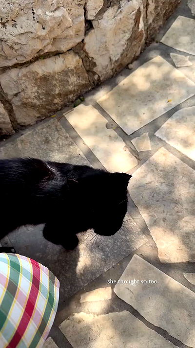 carolinezalog carolinezalog archive video