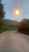 lior_lotati Altpins Profile Picture