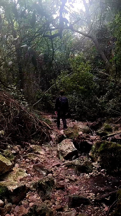 tinapavlov.sky tinapavlov.sky archive video