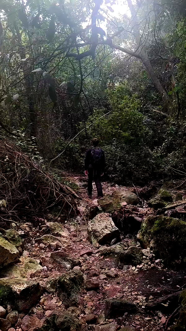 tinapavlov.sky archive video preview