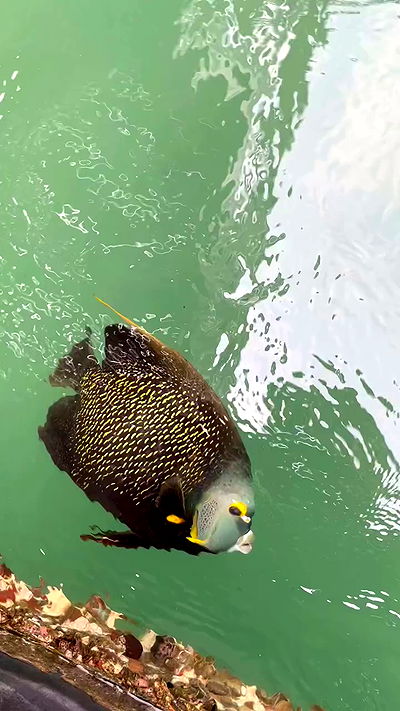 eusandyyh eusandyyh archive video