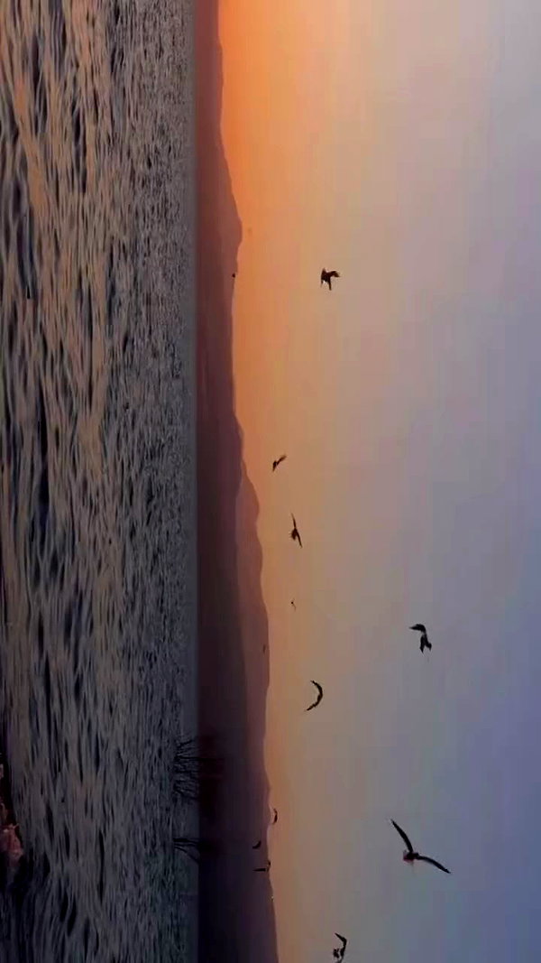 hadas_mayer_ archive video preview
