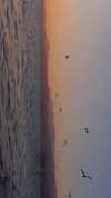 hadas_mayer_ Altpins Profile Picture