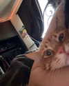 butter.on.a.poptart69 Altpins Profile Picture