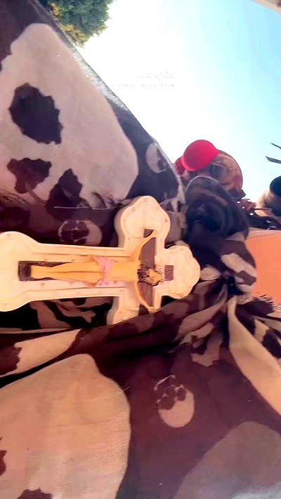 zommmbri zommmbri archive video