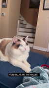 pixieonyxx Altpins Profile Picture