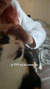 avitallllllll Altpins Profile Picture