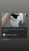 _koolkat__ Altpins Profile Picture