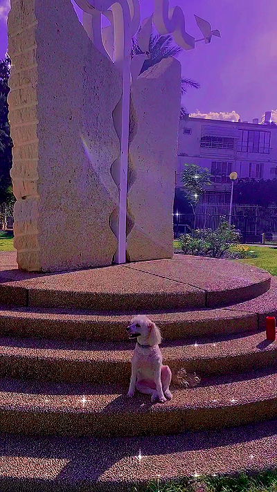 feelbetterinmysweater feelbetterinmysweater archive video