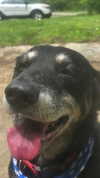 lola.luvgood Altpins Profile Picture