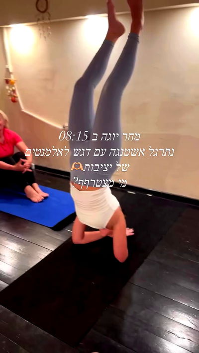 liad.arazi liad.arazi archive video