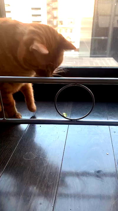 winbun.io winbun.io archive video