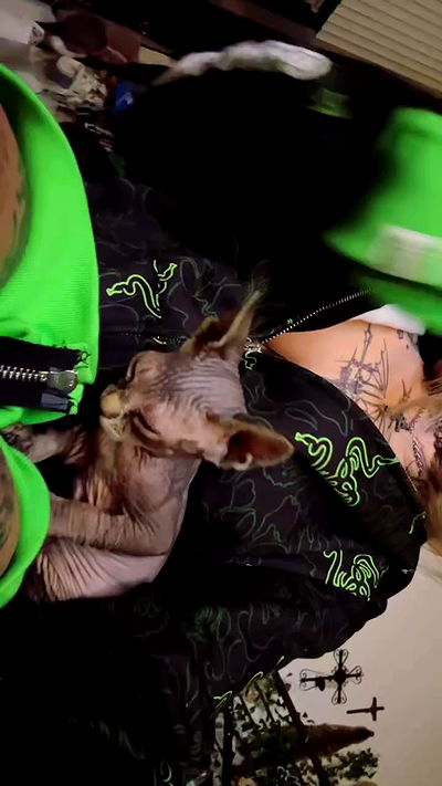 zommmbri zommmbri archive video