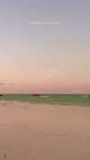 noa_mendel_ Altpins Profile Picture