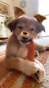 amyeett Altpins Profile Picture