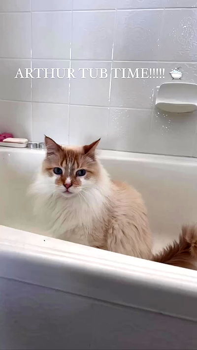 iheartpidge iheartpidge archive video