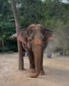 jadelawrence5 Altpins Profile Picture