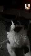 estr3iia Altpins Profile Picture