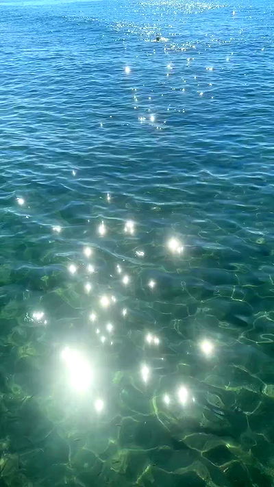 annfigma annfigma archive video