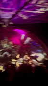 calyen Altpins Profile Picture