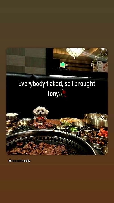 flarebahr flarebahr archive video